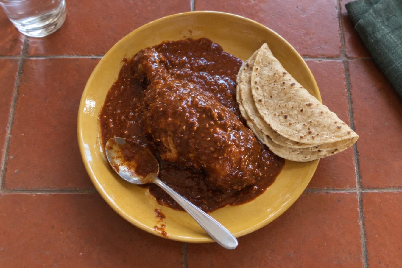 Mole coloradito – Oaxacan red mole with chicken